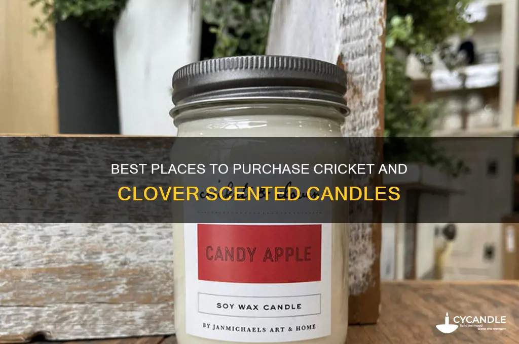where to buy cricket and clover candles