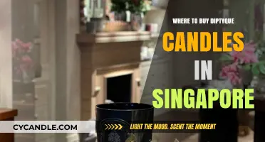 Where to Buy Diptyque Candles in Singapore: Top Retailers