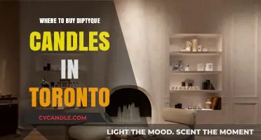 Discover Toronto's Best Retailers for Authentic Diptyque Candles