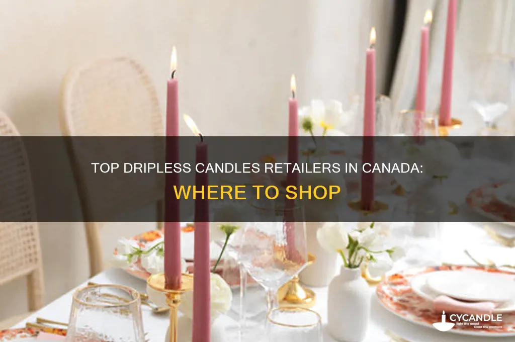 where to buy dripless candles canada