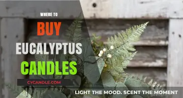 Discover the Best Retailers for Eucalyptus Candles: A Buyer's Guide