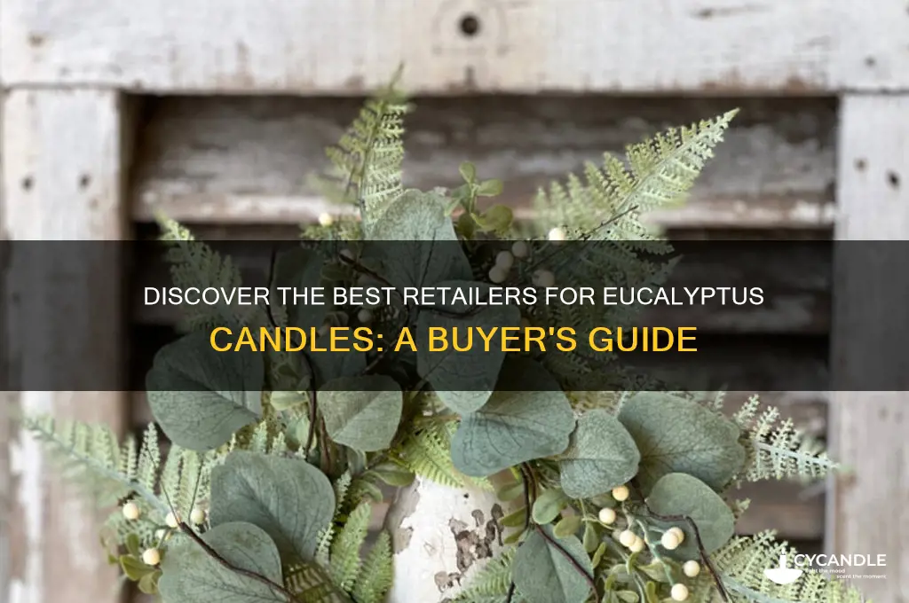 where to buy eucalyptus candles