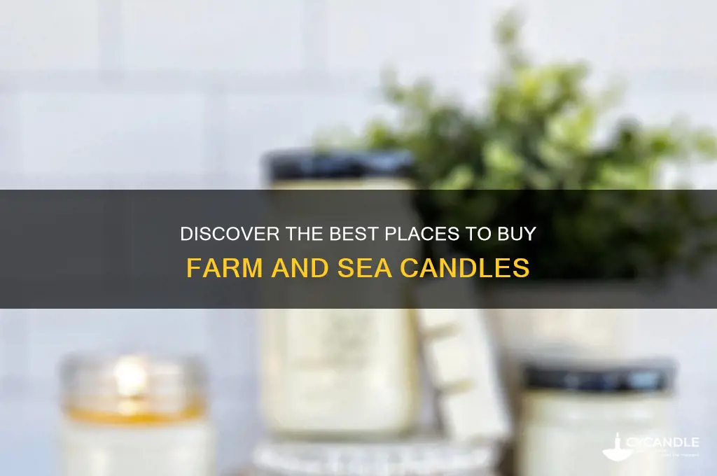 where to buy farm and sea candles