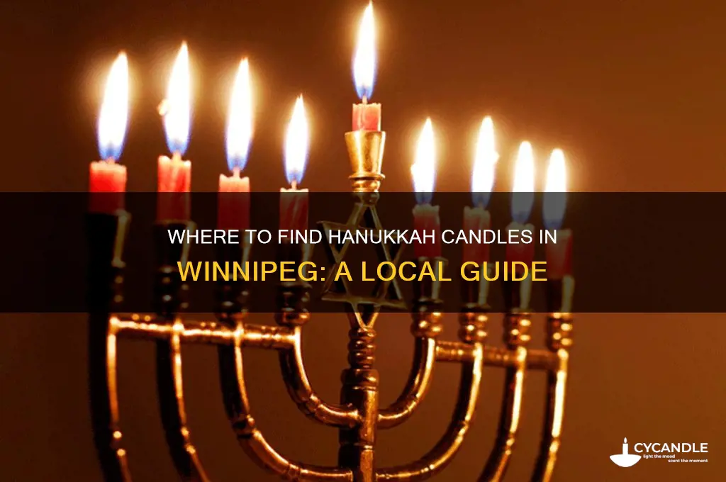 where to buy hanukkah candles in winnipeg