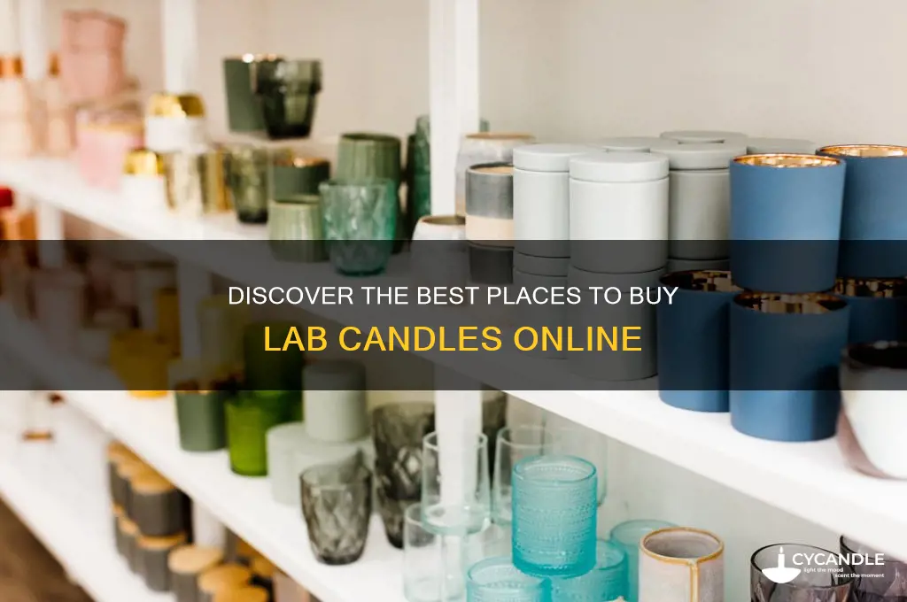 where to buy lab candles
