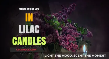 Discover the Best Places to Buy Life in Lilac Candles