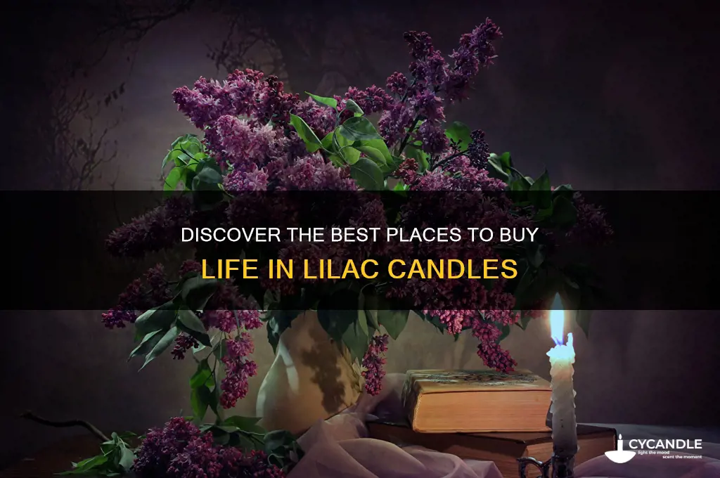 where to buy life in lilac candles