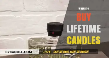 Discover the Best Places to Purchase Lifetime Candles Online