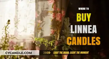 Discover the Best Places to Buy Linnea Candles Online & In-Store
