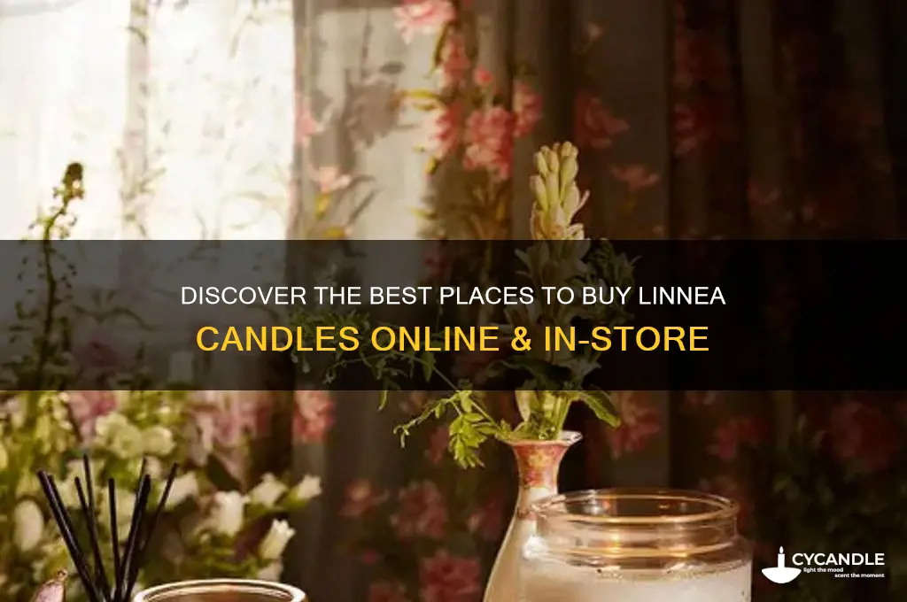where to buy linnea candles