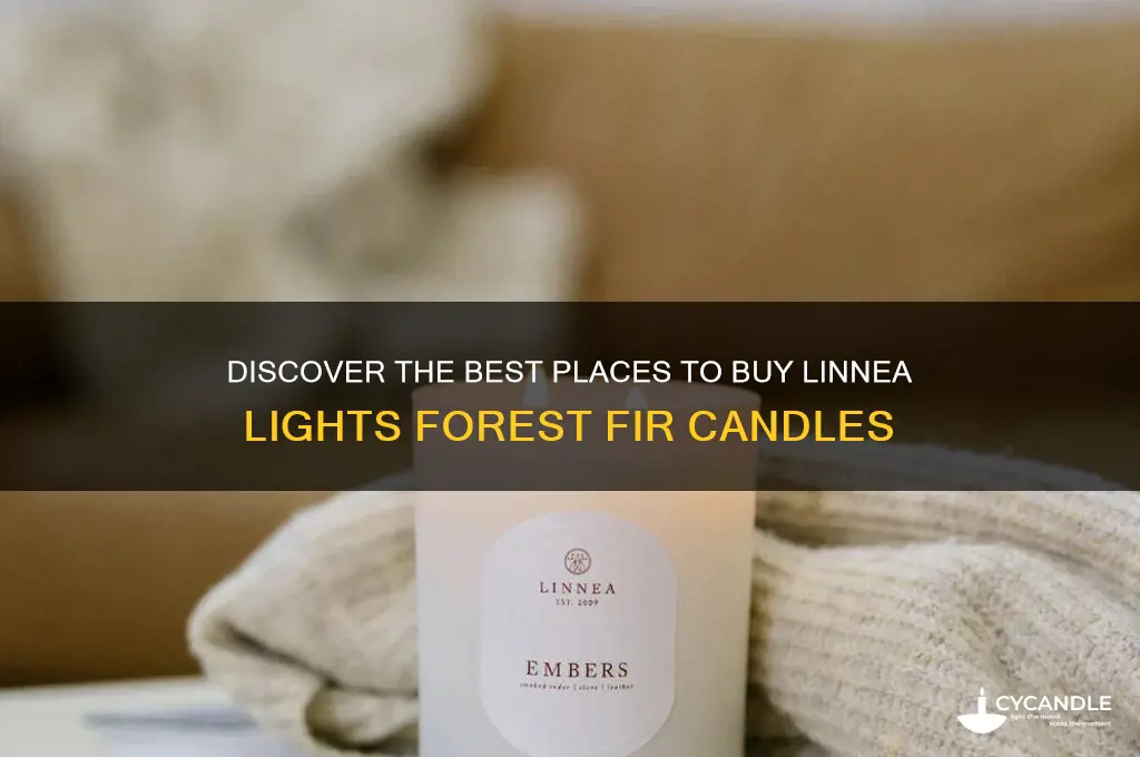 where to buy linnea lights candles forest fir
