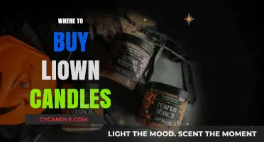 Best Places to Purchase Liown Candles: A Comprehensive Guide