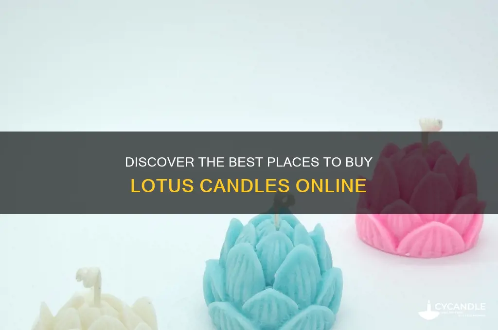 where to buy lotus candle
