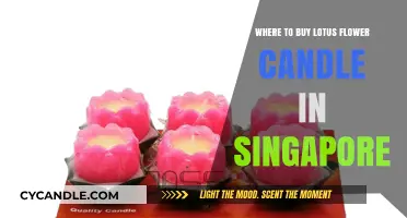 Best Places to Buy Lotus Flower Candles in Singapore