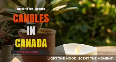 Discover Luminara Candles: Top Canadian Retailers for Realistic Flameless Lighting