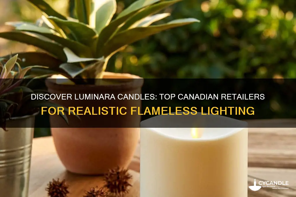 where to buy luminara candles in canada