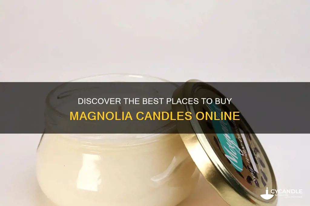 where to buy magnolia candles