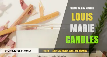 Discover the Best Retailers for Maison Louis Marie Candles