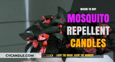 Best Places to Buy Effective Mosquito Repellent Candles Online & In-Store