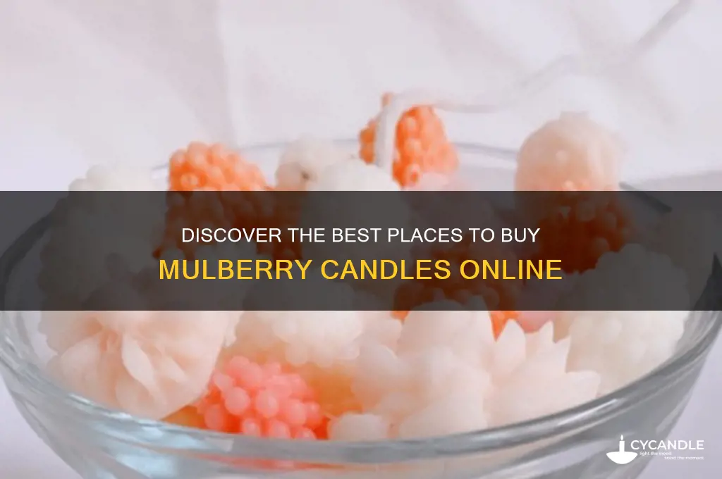 where to buy mulberry candles