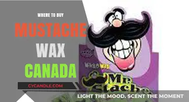 Top Canadian Retailers for Mustache Wax: A Grooming Guide
