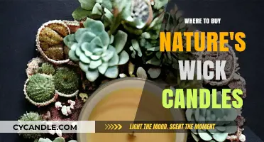Discover the Best Retailers to Buy Nature's Wick Candles