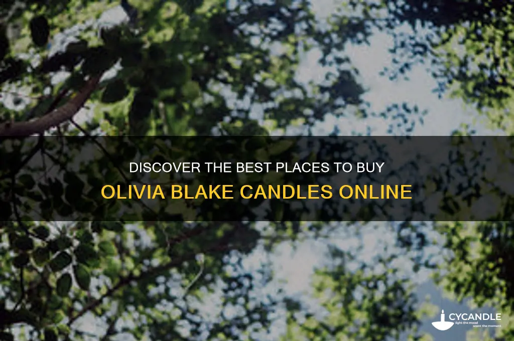 where to buy olivia blake candles