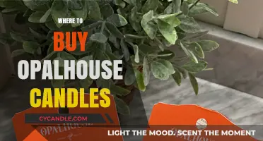 Discover the Best Retailers for Opalhouse Candles: A Shopper's Guide
