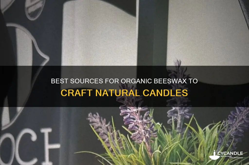 where to buy organic beeswax for candle making