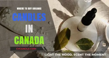 Discover Canada's Best Organic Candle Shops: Eco-Friendly Options
