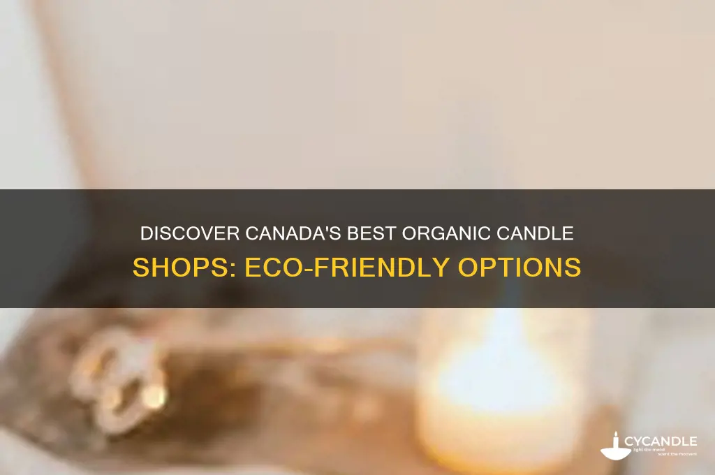 where to buy organic candles in canada