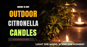 Best Places to Purchase Outdoor Citronella Candles for Bug-Free Evenings