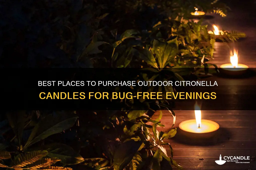 where to buy outdoor citronella candles