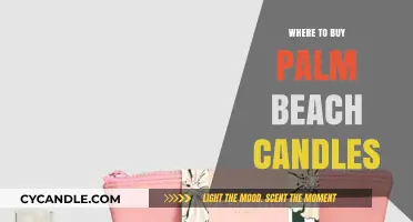 Discover the Best Retailers to Buy Palm Beach Candles Online