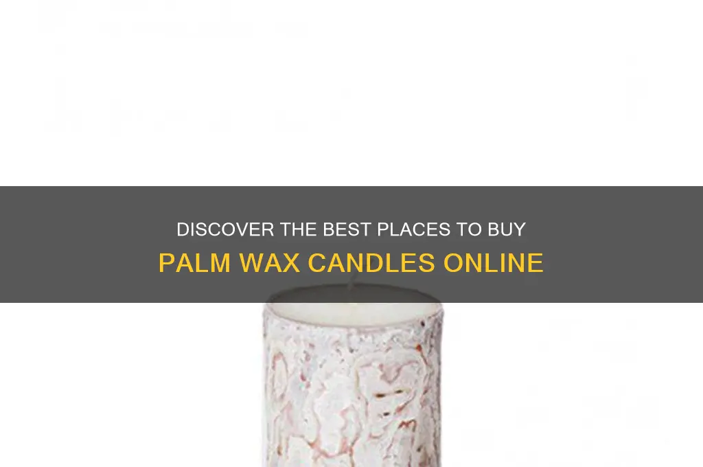 where to buy palm wax candles
