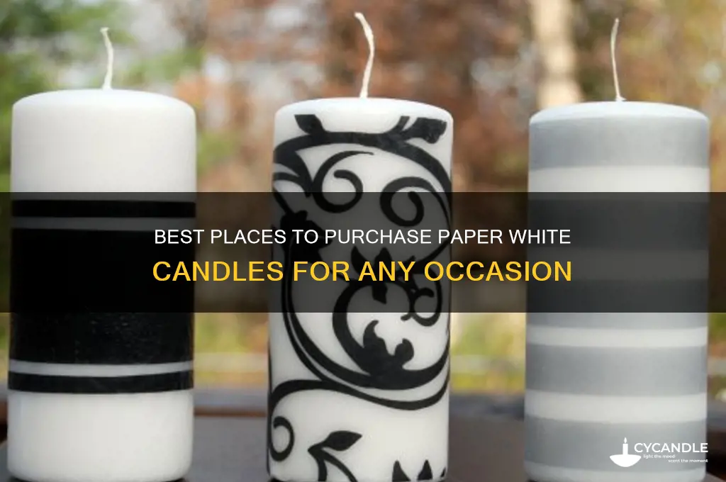 where to buy paper white candles