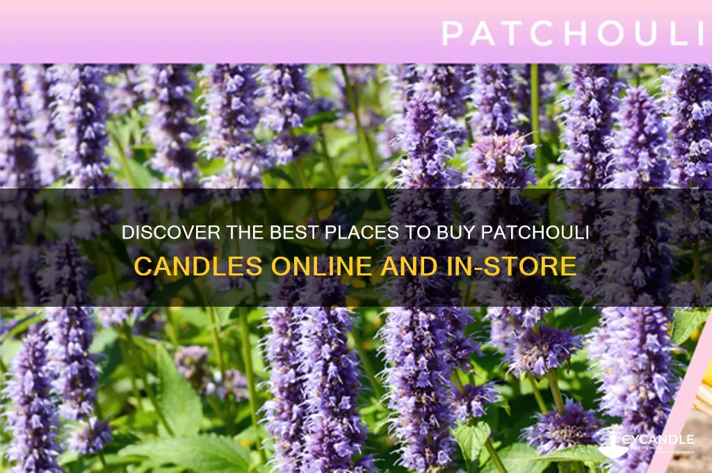 where to buy patchouli candles