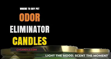 Best Places to Buy Pet Odor Eliminator Candles Online & In-Store