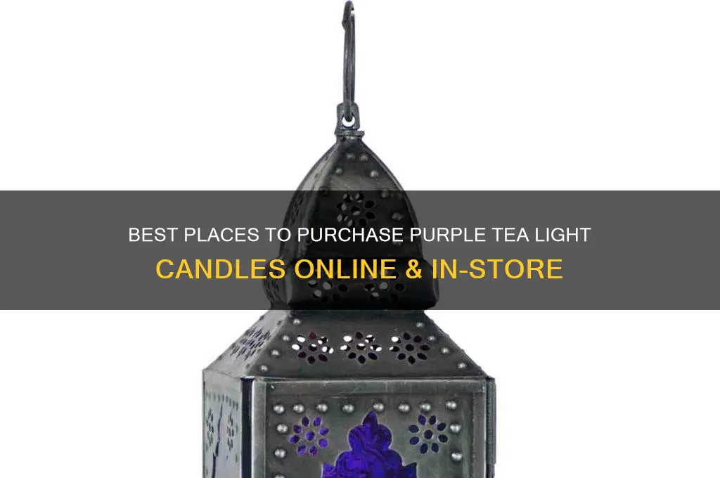 where to buy purple tea light candles