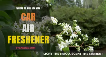 Freshen Up Your Ride: Where to Find Sex Wax Car Air Fresheners