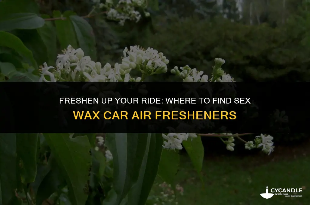 where to buy sex wax car air freshener