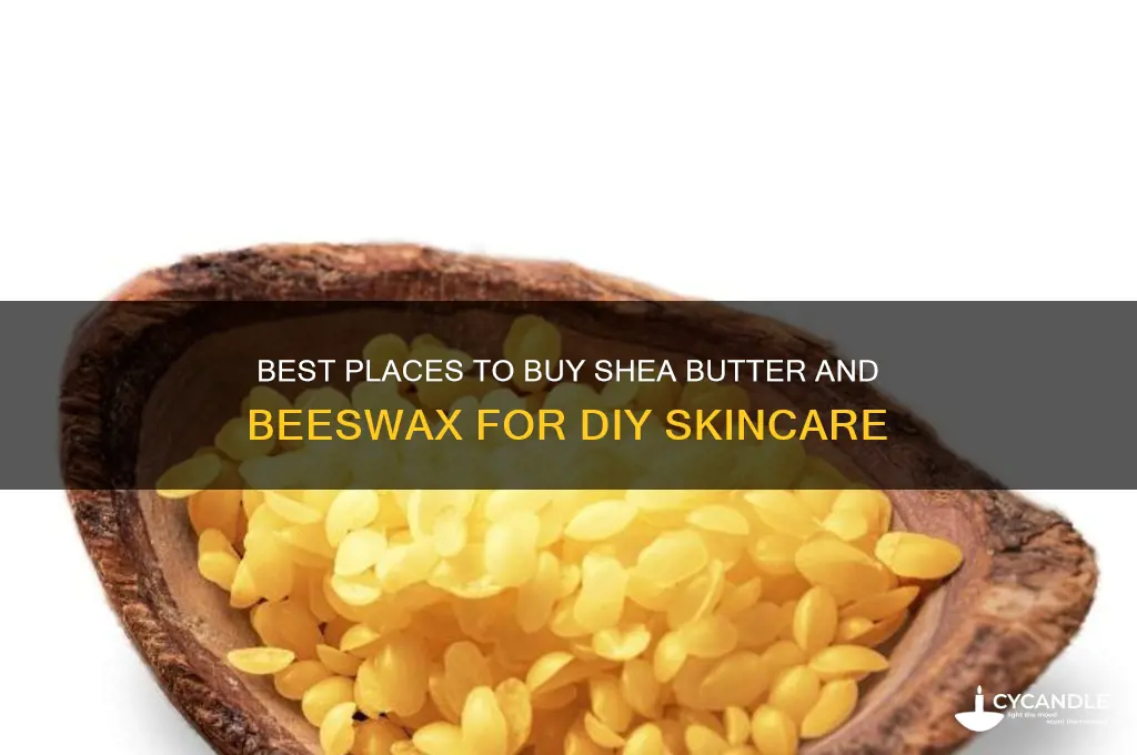 where to buy shea butter and beeswax