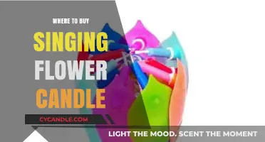 Best Places to Purchase Singing Flower Candles Online & In-Store