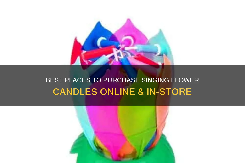 where to buy singing flower candle
