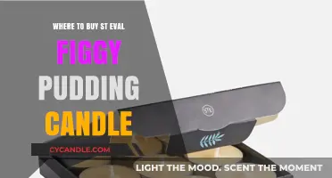 Discover the Best Places to Buy St Eval Figgy Pudding Candle