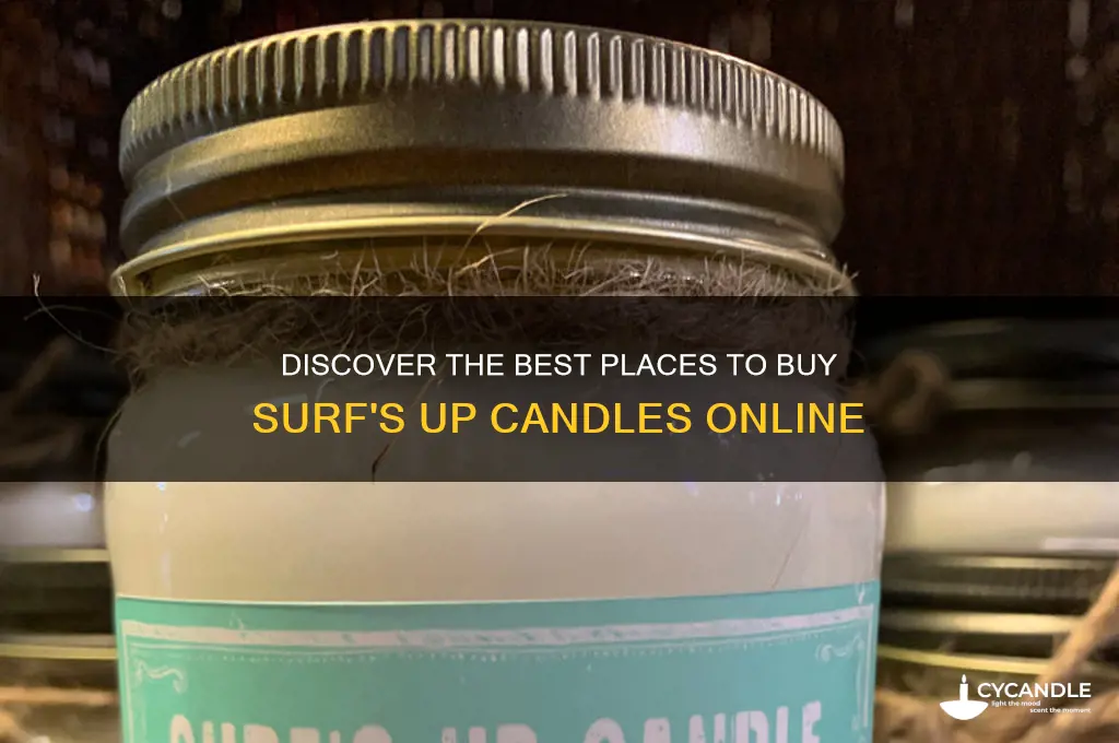 where to buy surf