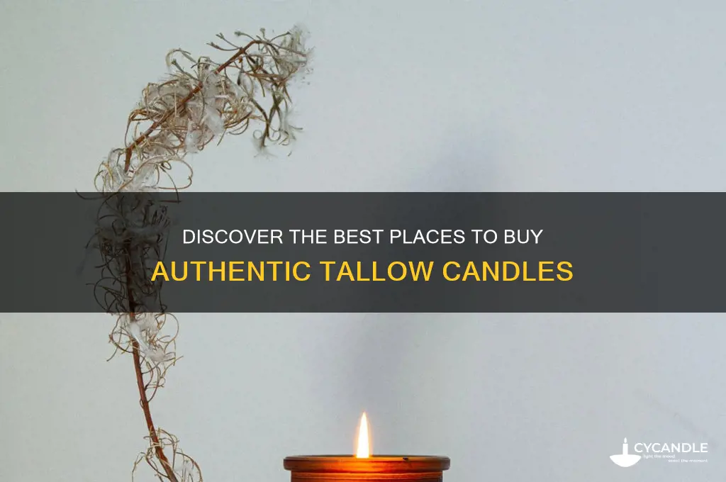 where to buy tallow candles