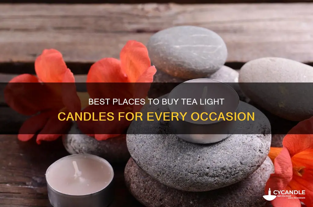 where to buy tea light candles