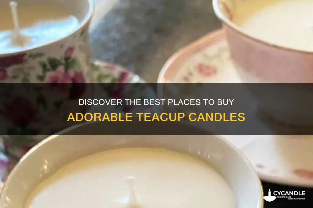 where to buy teacup candles