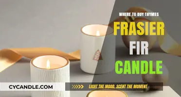 Discover the Best Places to Buy Thymes Frasier Fir Candles